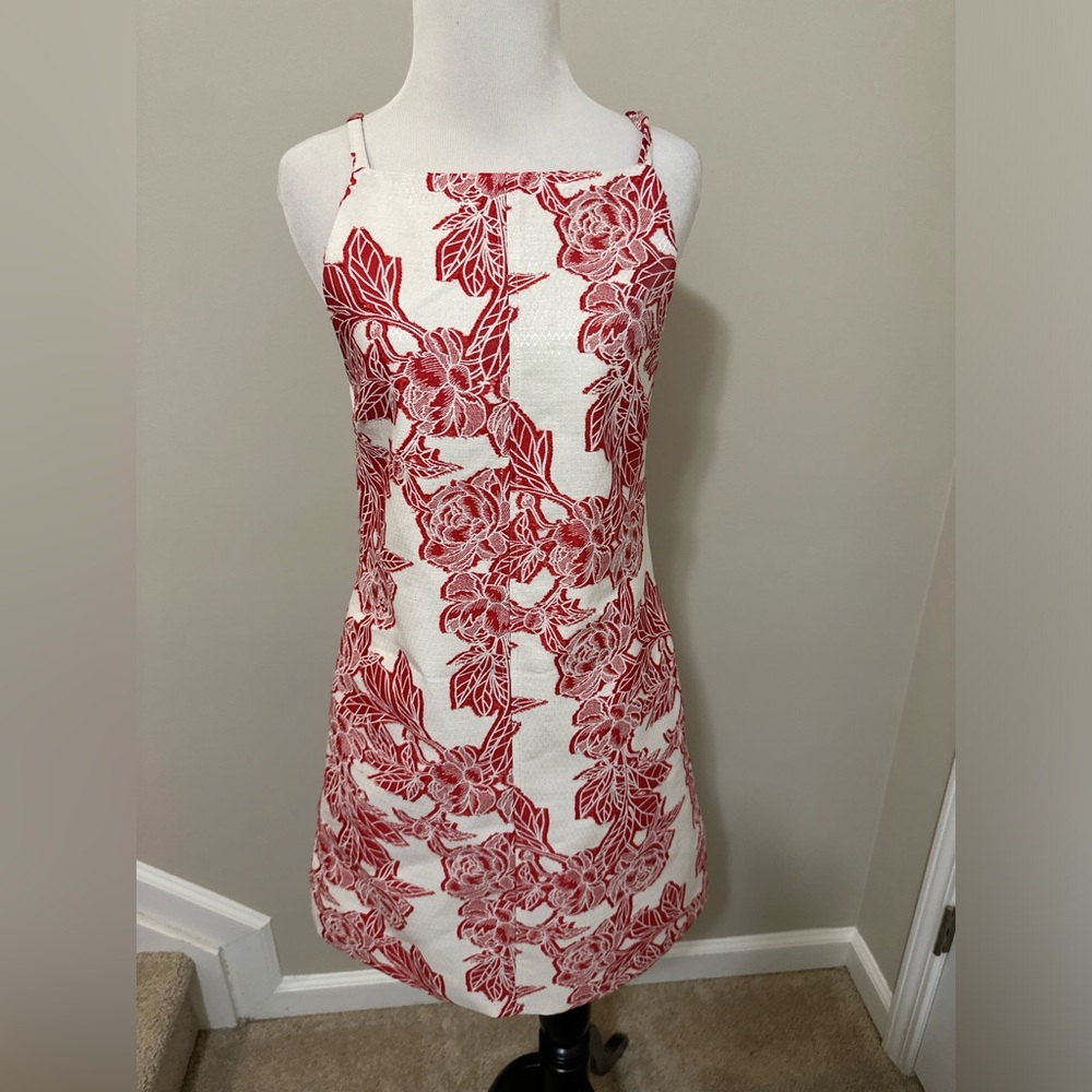 THML Red & White Patterned Dress